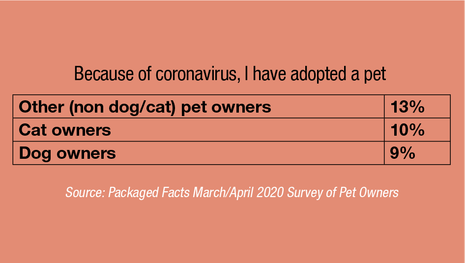 Need More Proof of the Pet Industry’s Recession Resilience?